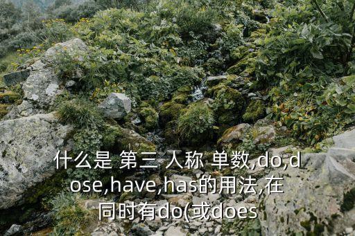 do的第三人稱單數,does用在主語是第三人稱單數時候