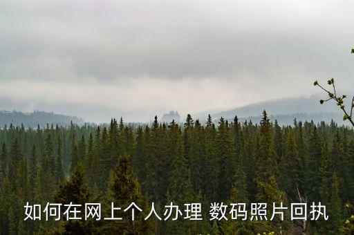 數(shù)碼相片,在線辦理數(shù)碼照片回執(zhí)需要什么東西?