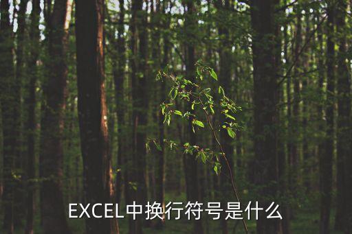 換行符號，換行符號