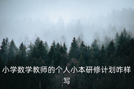 小學(xué)數(shù)學(xué)教師的個人小本研修計劃咋樣寫