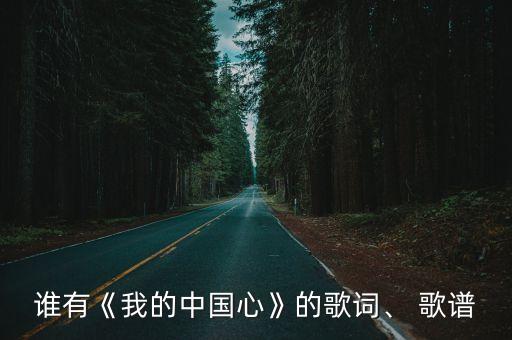 愛我中華歌譜,《我的中國心》第一集