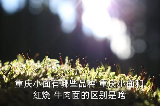 重慶紅燒牛肉面,牛肉面有哪些吃法?