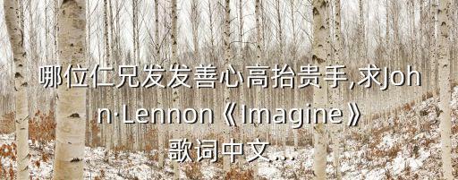 哪位仁兄發(fā)發(fā)善心高抬貴手,求John·Lennon《Imagine》 歌詞中文...