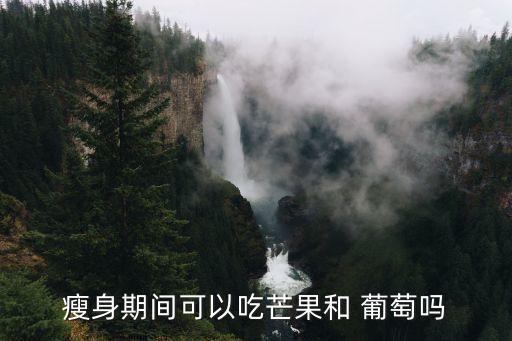瘦身期間可以吃芒果和 葡萄嗎