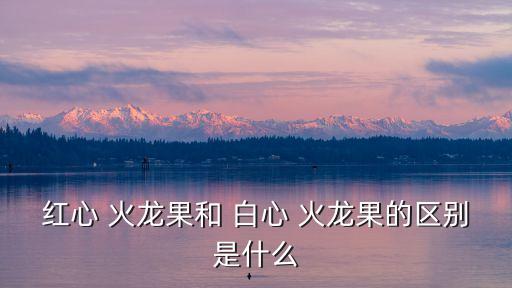 紅心 火龍果和 白心 火龍果的區(qū)別是什么