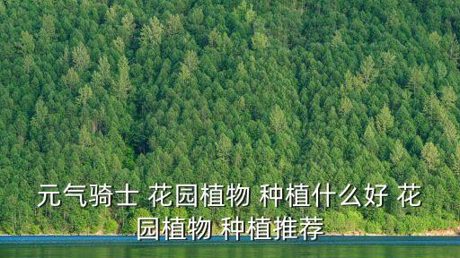 元氣騎士 花園植物 種植什么好 花園植物 種植推薦