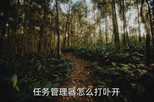 打開任務管理器，任務管理器怎么打卟開