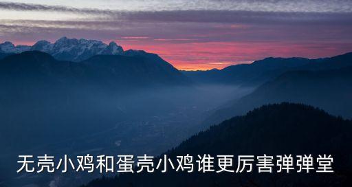 蛋殼小雞，雞蛋殼在小雞孵化中的作用