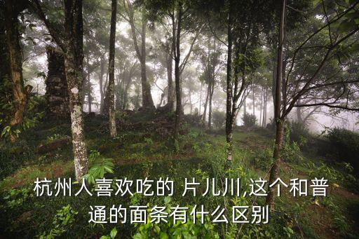 杭州片兒川,杭州著名地湯面湯特別濃特別鮮筍特別嫩