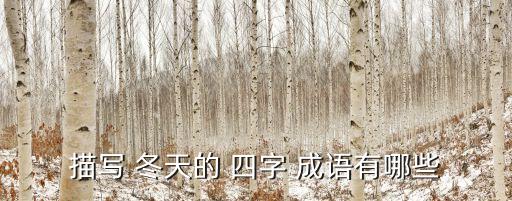 冬天的四字成語,冬天de四字成語:一眼望去是白色的；