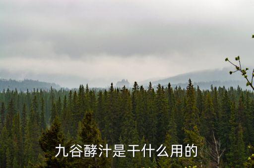 九谷酵汁是干什么用的