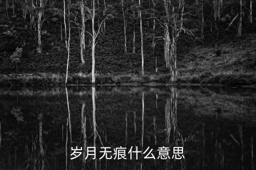 歲月無痕什么意思