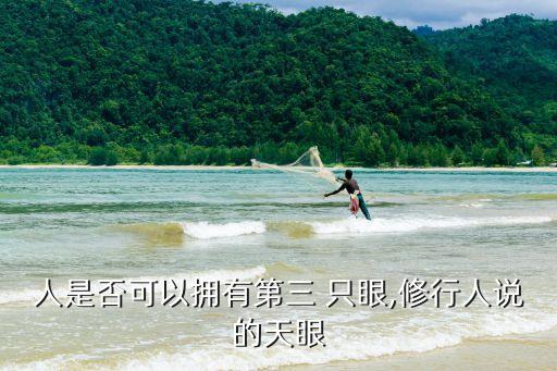 第一只眼,第三只眼又叫松果體什么是天眼?