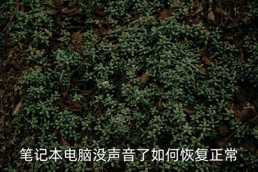 筆記本電腦沒聲音了如何恢復正常