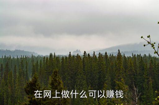 在網(wǎng)上做什么可以賺錢