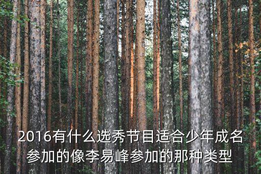 2016有什么選秀節(jié)目適合少年成名參加的像李易峰參加的那種類型