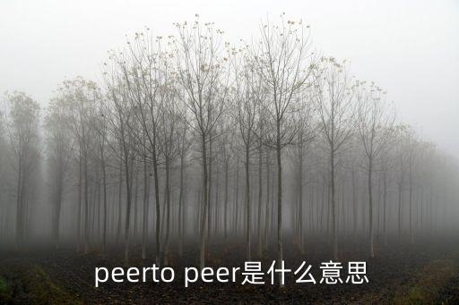  peerto peer是什么意思