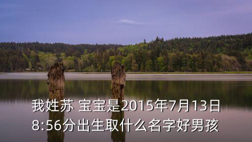 我姓蘇 寶寶是2015年7月13日8:56分出生取什么名字好男孩