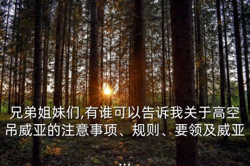 巨吊,臺州創巨吊裝設備有限公司經營范圍為制造、銷售繩網帶