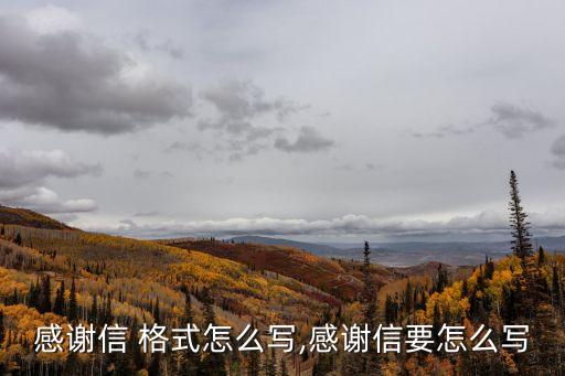 感謝信 格式怎么寫,感謝信要怎么寫