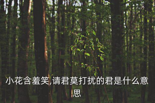 小花含羞笑,請(qǐng)君莫打擾的君是什么意思