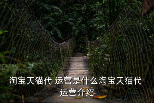 淘寶天貓代 運營是什么淘寶天貓代 運營介紹