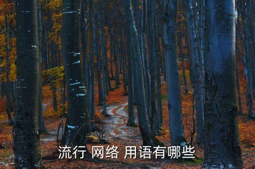 網絡流行用語,東北方言使用頻繁大委屈被網友廣泛使用