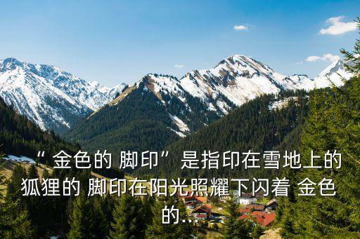 金色的腳印,金色de腳印是對(duì)全文的總結(jié)