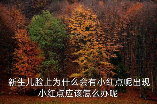 新生兒過敏,寶寶濕疹怎么辦?