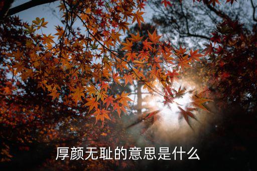 厚顏無(wú)恥的意思是什么