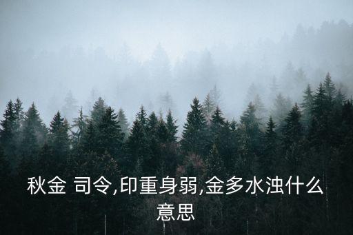 金司令,第二句話說的很清楚需具體分析