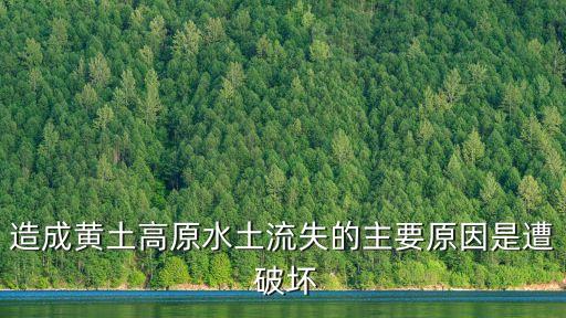 黃土高原水土流失的原因，造成黃土高原水土流失的主要原因是遭 破壞