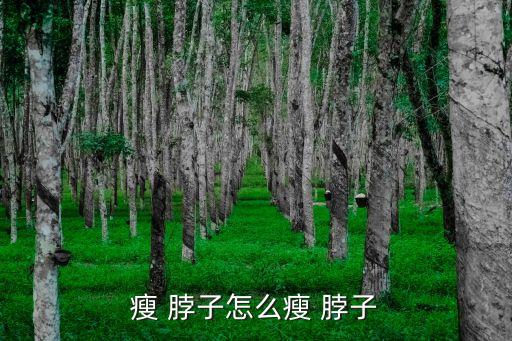 怎么瘦脖子和下巴,脖子變粗不利于長壽?可這樣做!