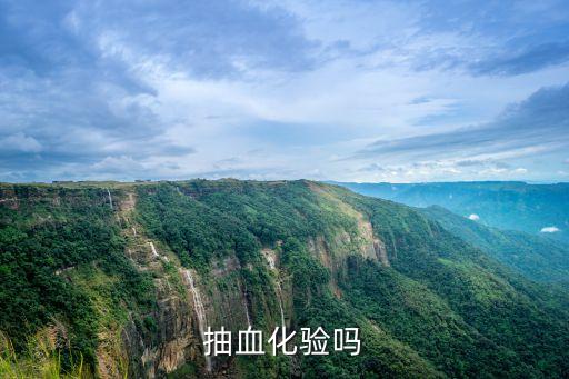 抽血檢查，抽血都化驗什么