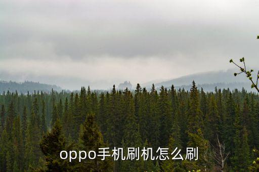 oppo怎么刷機(jī)，oppo手機(jī)刷機(jī)怎么刷