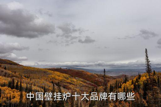 中國壁掛爐十大品牌有哪些