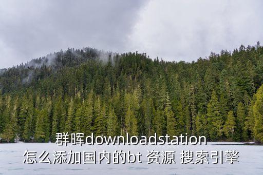 資源搜索引擎,搜索引擎包括目錄索引等搜索結果