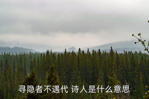 尋隱者不遇代 詩人是什么意思