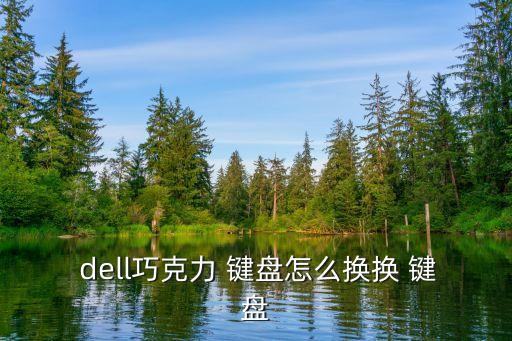  dell巧克力 鍵盤怎么換換 鍵盤