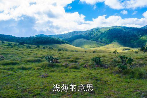 淺薄的意思