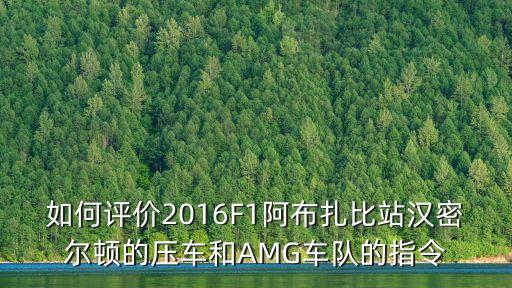 如何評價(jià)2016F1阿布扎比站漢密爾頓的壓車和AMG車隊(duì)的指令