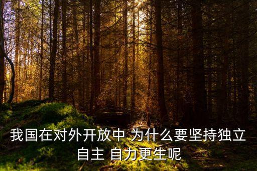 我國在對外開放中 為什么要堅持獨立自主 自力更生呢