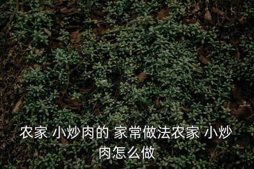 農(nóng)家 小炒肉的 家常做法農(nóng)家 小炒肉怎么做