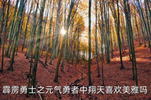 奇跡笨小孩結局，奇跡笨小孩結局是什么