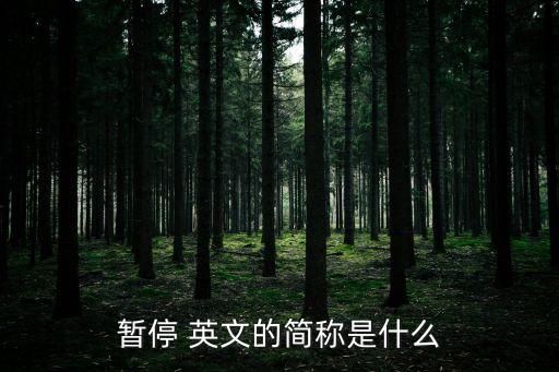 暫時的英文,暫時可以做形容詞和副詞表示讓步