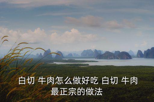  白切 牛肉怎么做好吃 白切 牛肉最正宗的做法