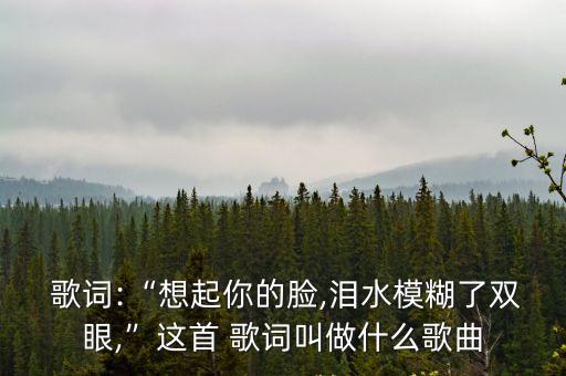  歌詞:“想起你的臉,淚水模糊了雙眼,”這首 歌詞叫做什么歌曲