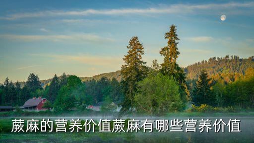 厥麻,盤中蕨麻的功效與作用