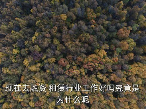 租賃行業,美國financing租賃業發展前景非常好