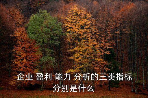 企業(yè)盈利能力分析